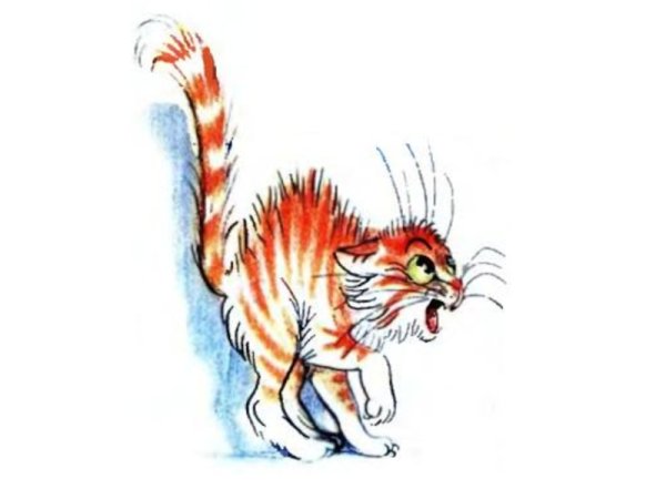 Киска сердится рисунок