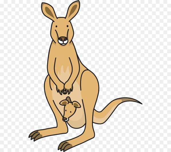 Кенгуру мультяшный