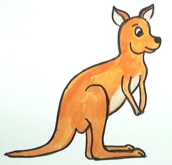 Кенгуру картинка для детей