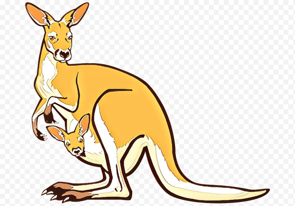 Кенгуру вектор