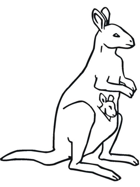 Кенгуру контур