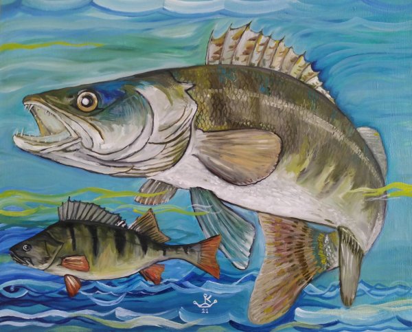 Окунь картина