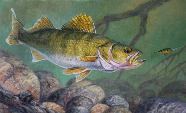 Окунь арт
