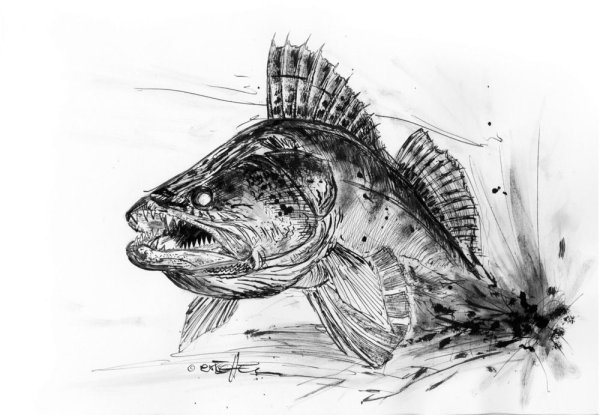 Судак эскиз