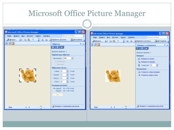 Microsoft Office picture Manager