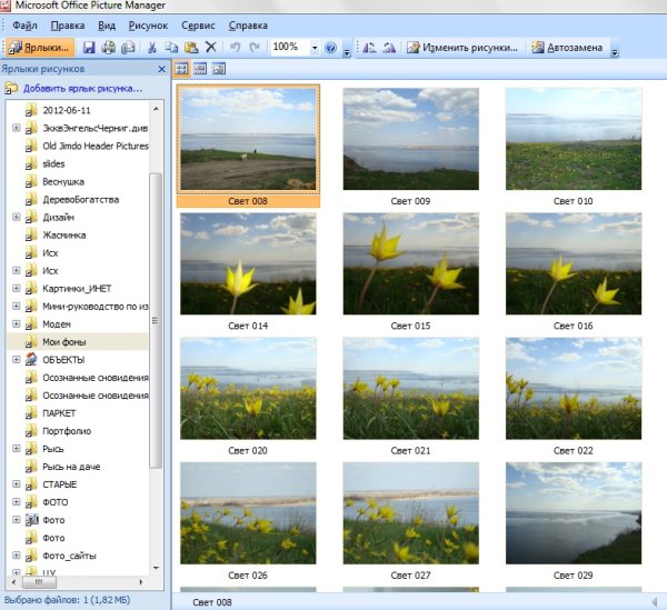 Значок Microsoft Office picture Manager