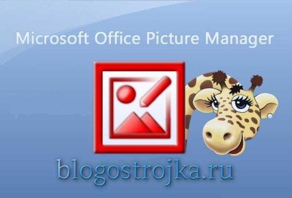 Диспетчер рисунков Microsoft Office 2010