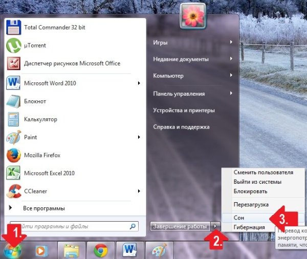 Microsoft Office picture Manager 2010