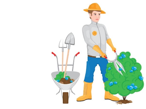 Профессия садовник