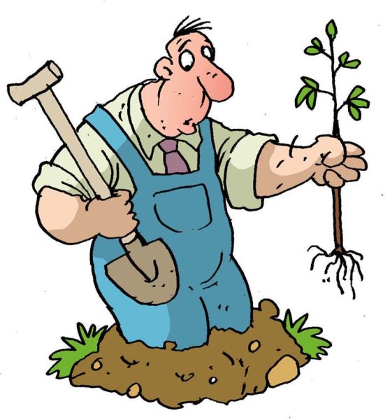 Садовод картинки