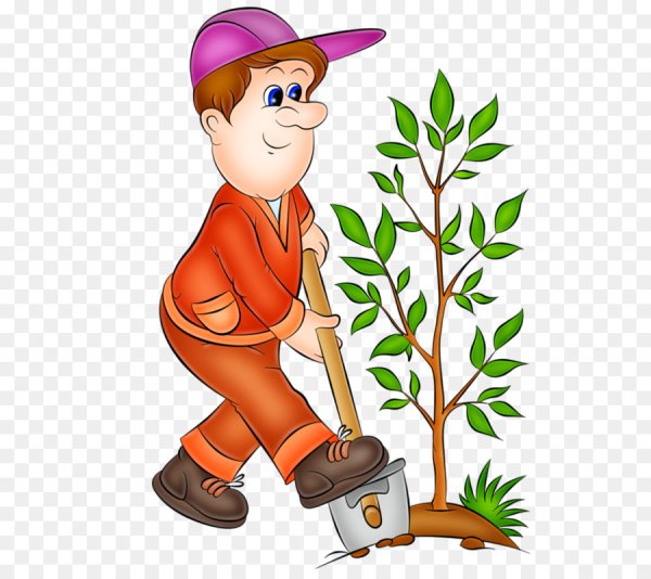 Садовник в детском саду