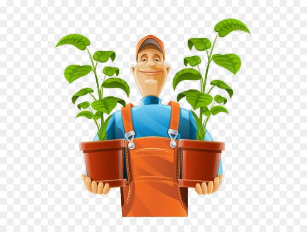 Дачник рисунок