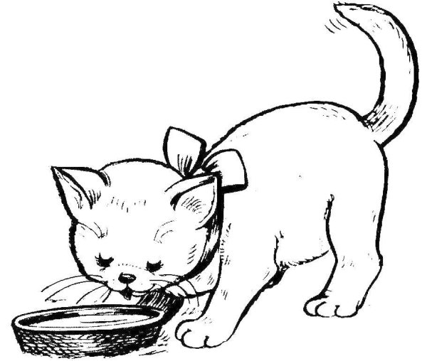 Котенок раскраска для детей