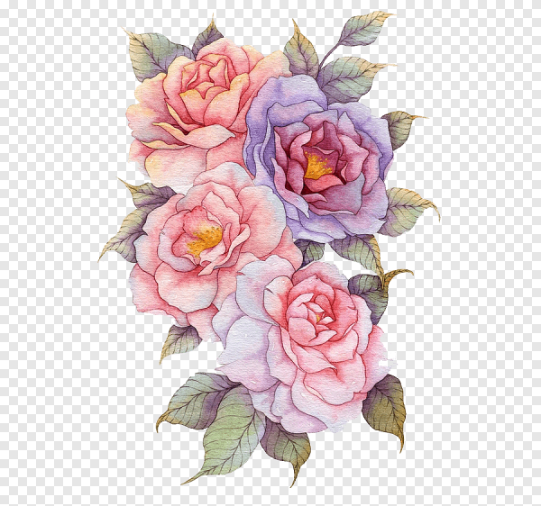 Камелия цветы акварелью