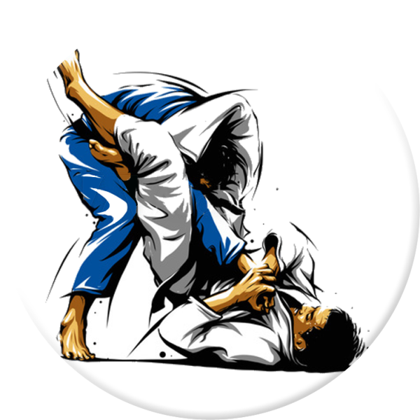 Бразильское джиу джитсу броски