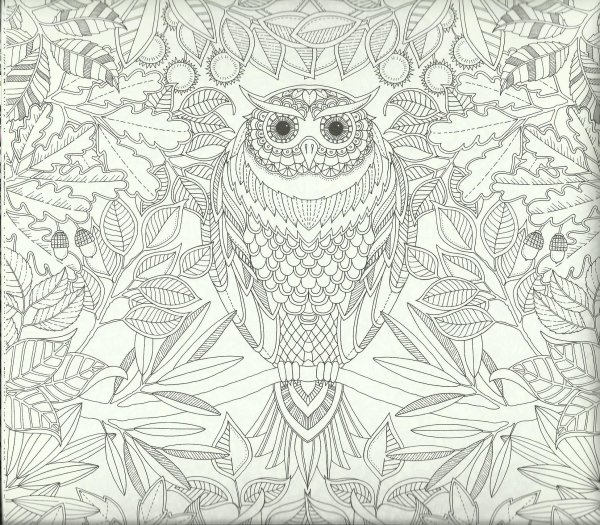 Джоанна Бэсфорд Сова