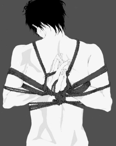 Сибари грей