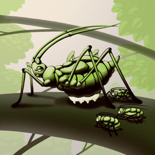 Смешная тля