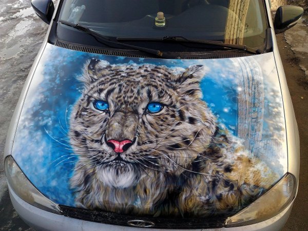 Ирбис аэрография