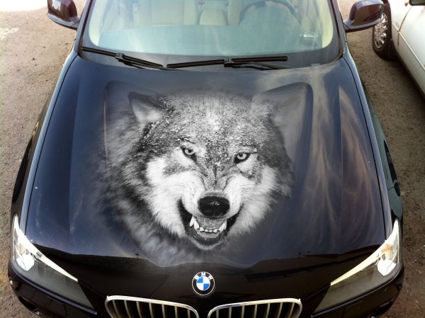 Бык аэрография