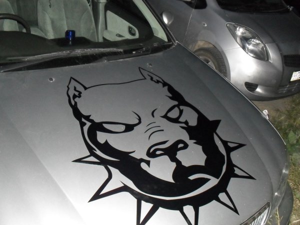 Аэрография на капот автомобиля