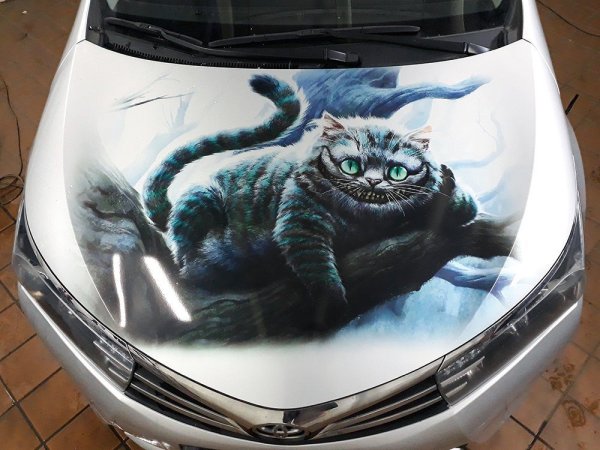 Легкие рисунки на капот