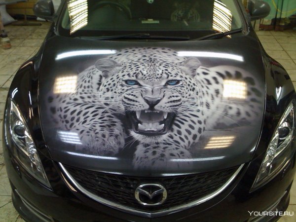 Тигр аэрографика