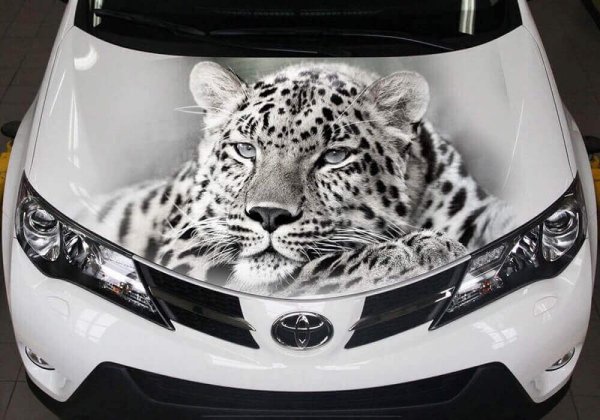 Аэрография на капоте авто