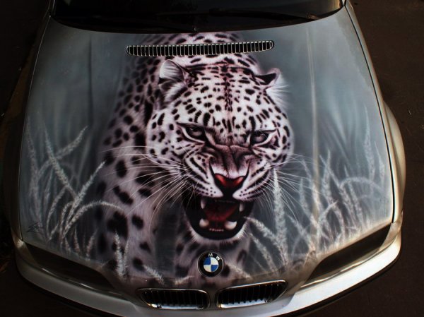 Peugeot 4007 аэрография