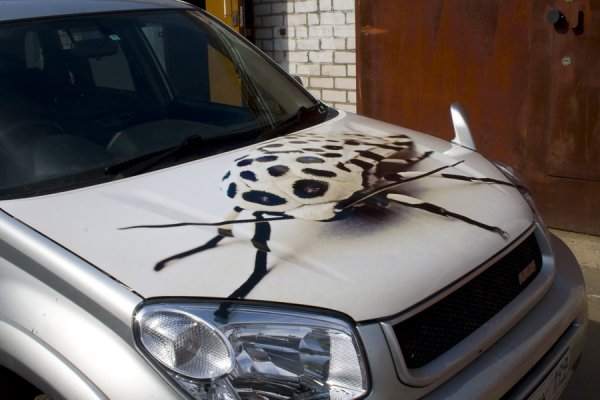 Аэрография на капот автомобиля