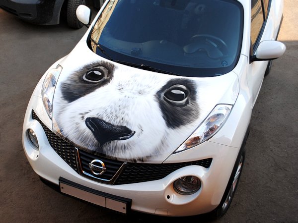 Аэрография на капоте машины