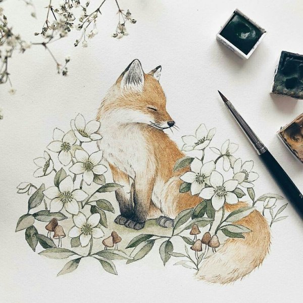 Иллюстрации Nina Stajner