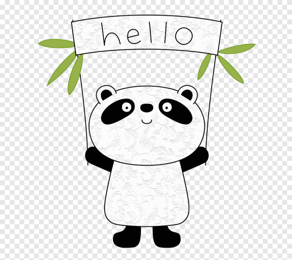 Спасибо за внимание Панда