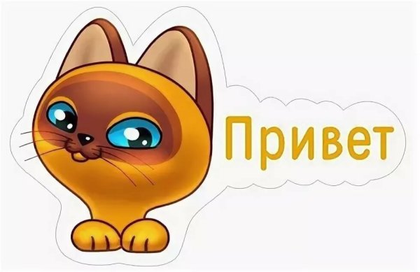 Стикеры для ватсап с надписями