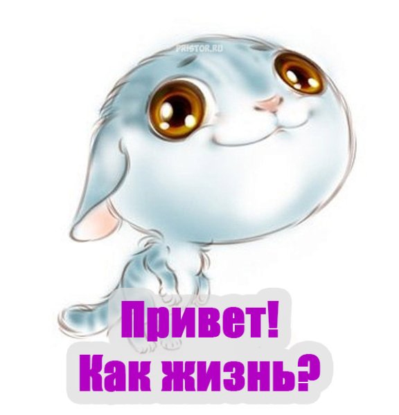 Стикеры прикольные с надписями привет