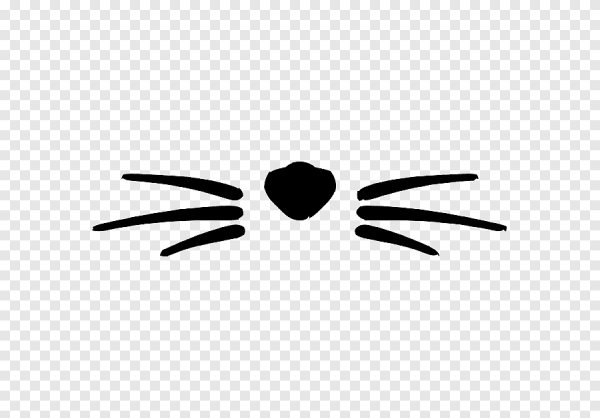 Кошачий нос вектор