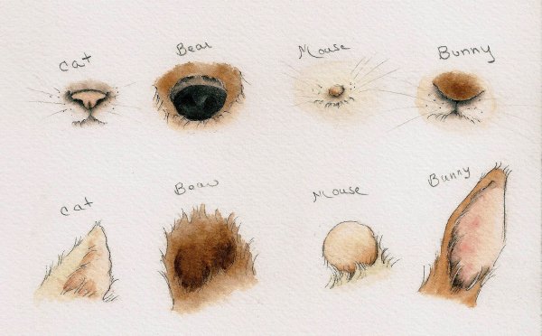 Носы животных для рисования