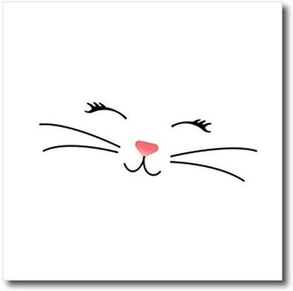 Нос и усы кота