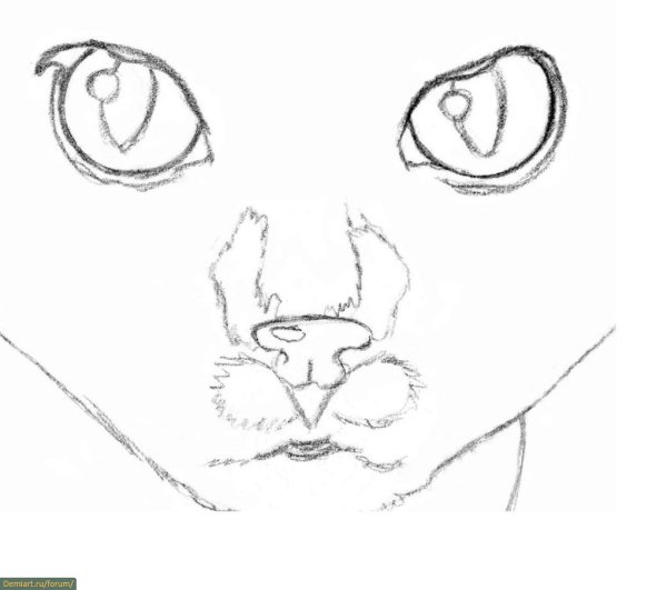 Поэтапное рисование кошачьих глаз