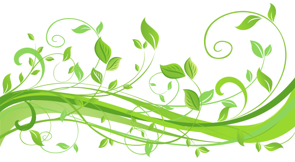 Растительный орнамент эскиз