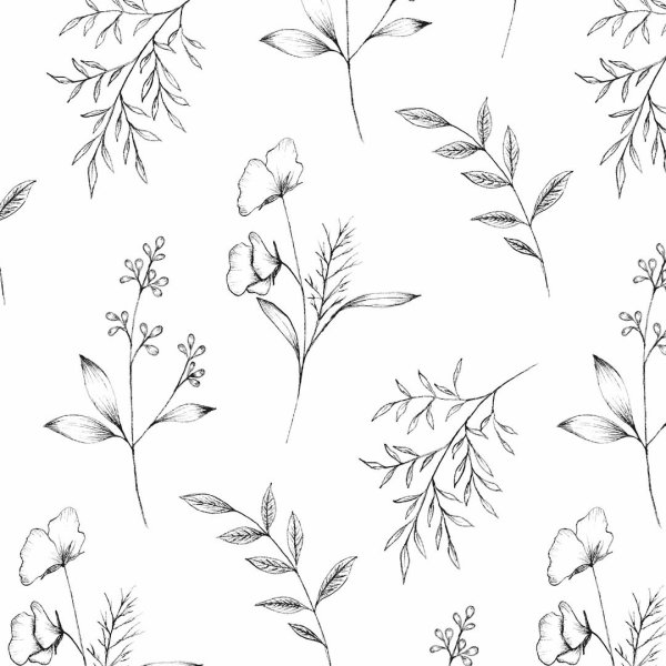 Зарисовки мелких растений