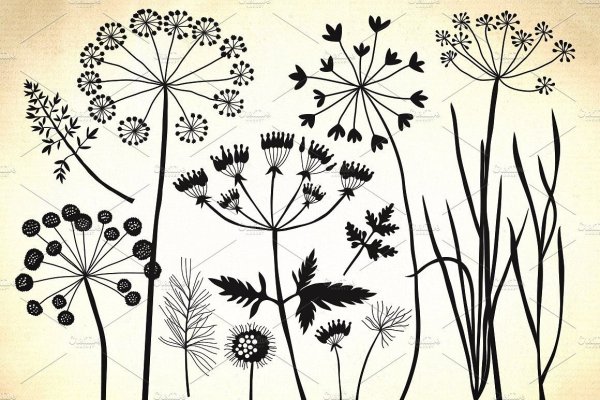 Трава эскиз