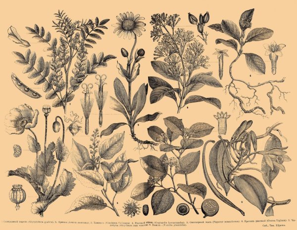 Декоративные узоры для рисования