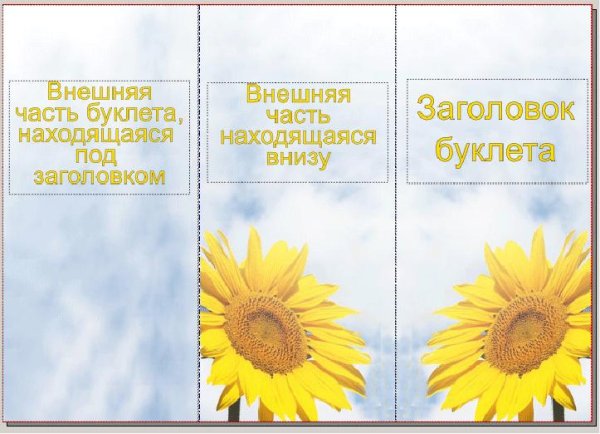 Иллюстрации для буклета