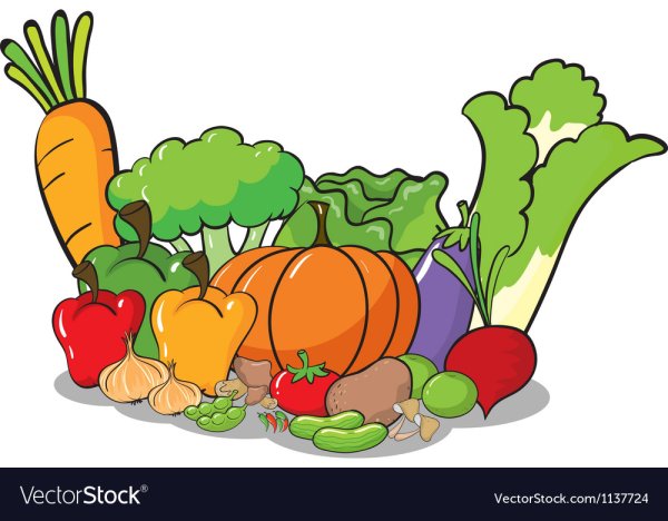 Овощи акварелью