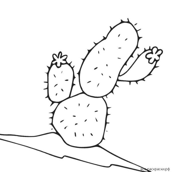 Колючка раскраска