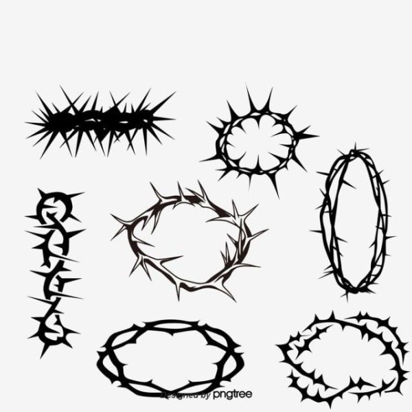 Проволока с шипами без фона