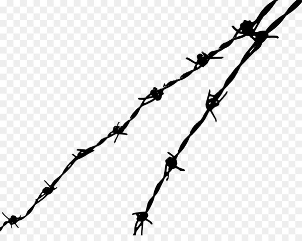 Лиана с шипами