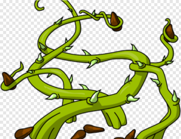 Терновый венец