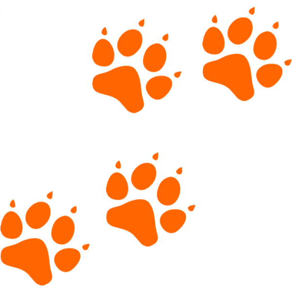 Оранжевые лапки